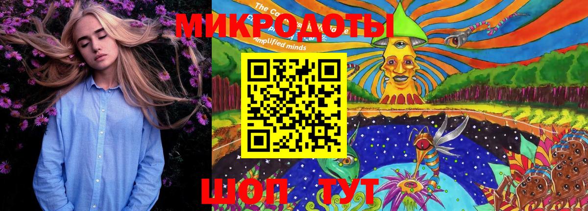 Галлюциногенные грибы Psilocybe  Вход с VPN  Лянтор 